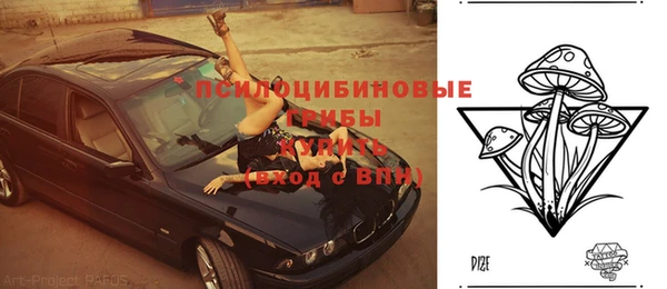 мяу мяу мука Армянск