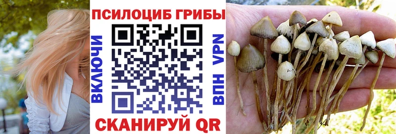 mega онион  купить   Саяногорск  Псилоцибиновые грибы Psilocybine cubensis 